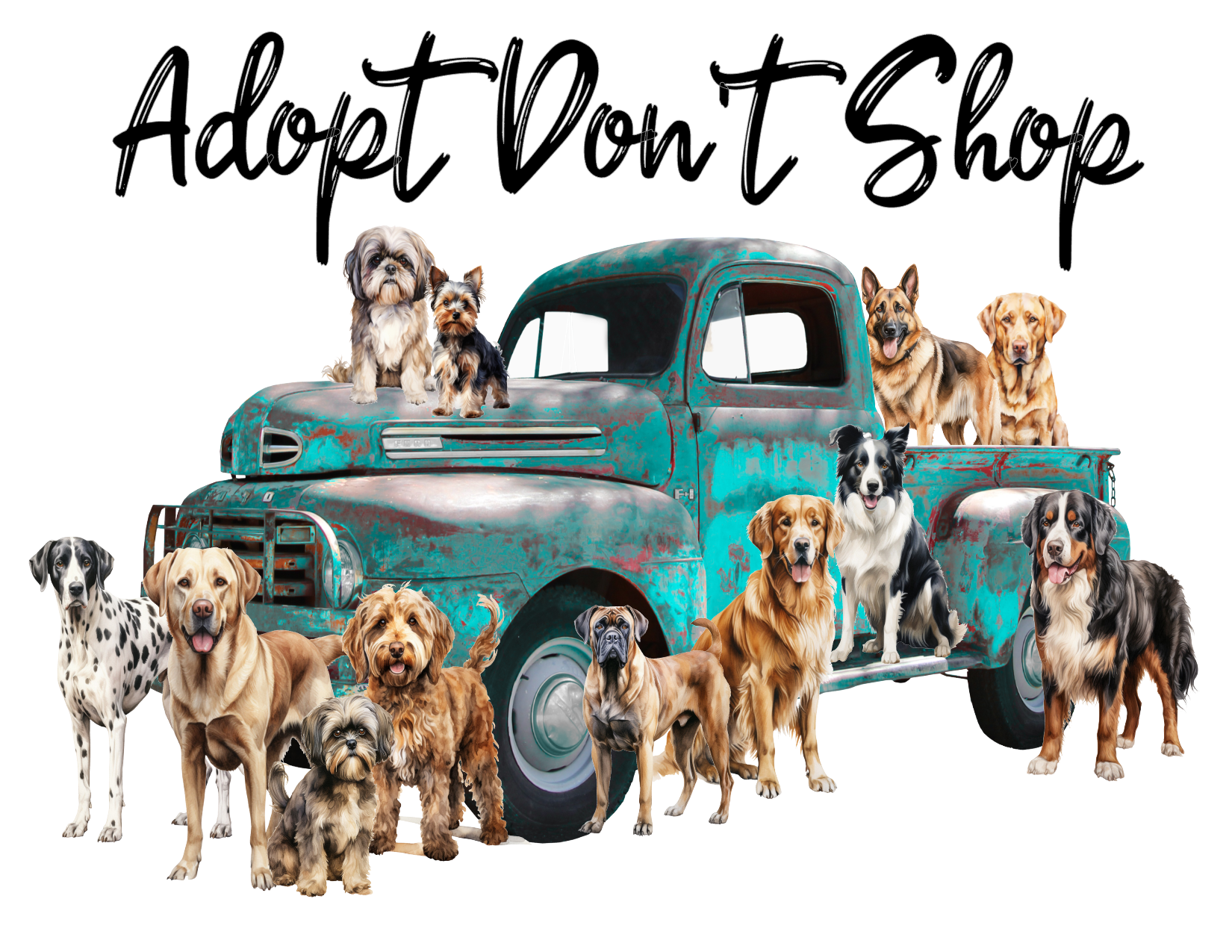 #296 Adopt Don't Shop